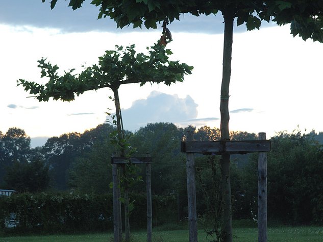 Traumhafte Welten im Campingplatz Badhütten am Bodensee